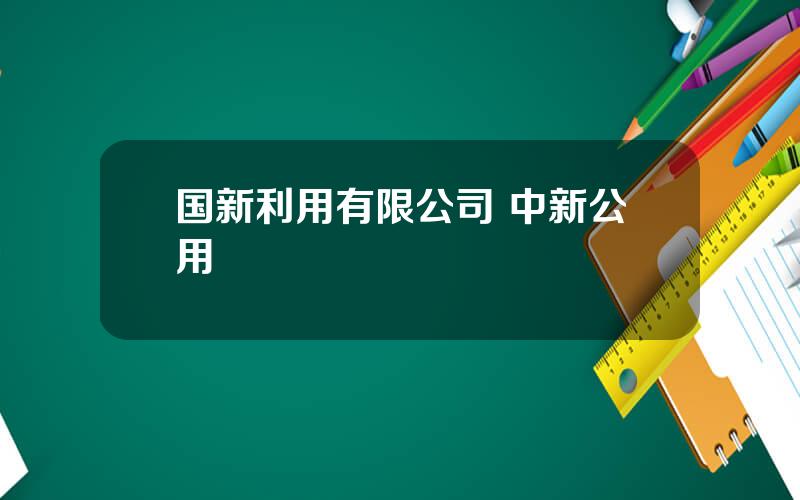 国新利用有限公司 中新公用